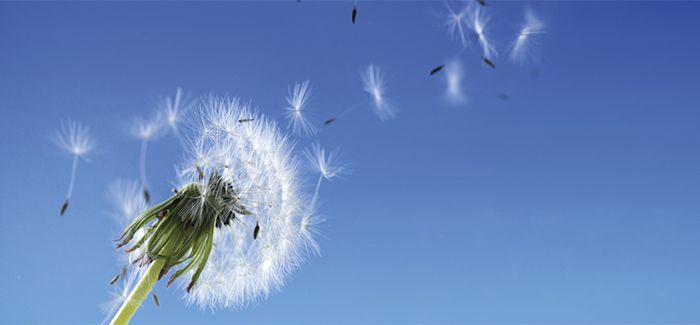 alergia aire acondicionado