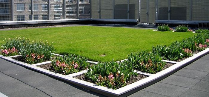 francia paneles solares