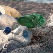 bacteri que descompon plàstic