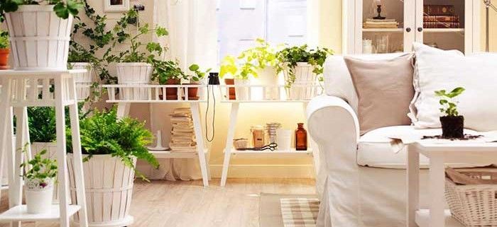 plantas-casa-roigsat