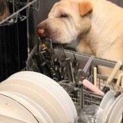 lavavajillas-eficiencia