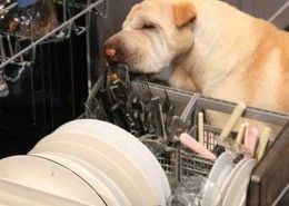 lavavajillas-eficiencia