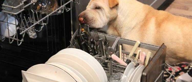 lavavajillas-eficiencia