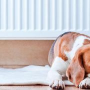 individualizar-calefaccion