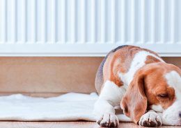 individualizar-calefaccion