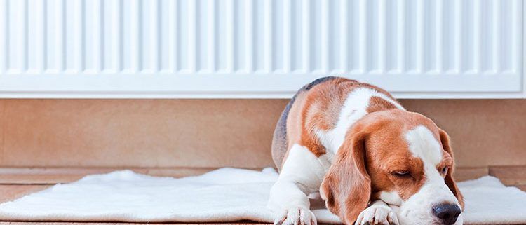 individualizar-calefaccion