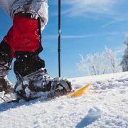 Día mundial de la nieve