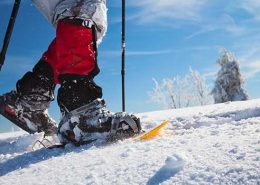 Día mundial de la nieve