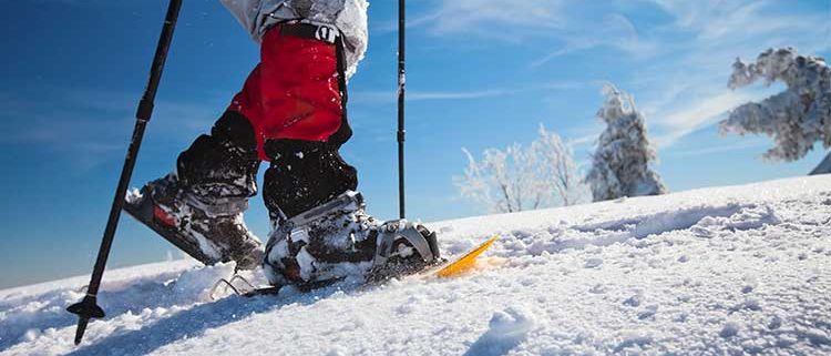 Día mundial de la nieve