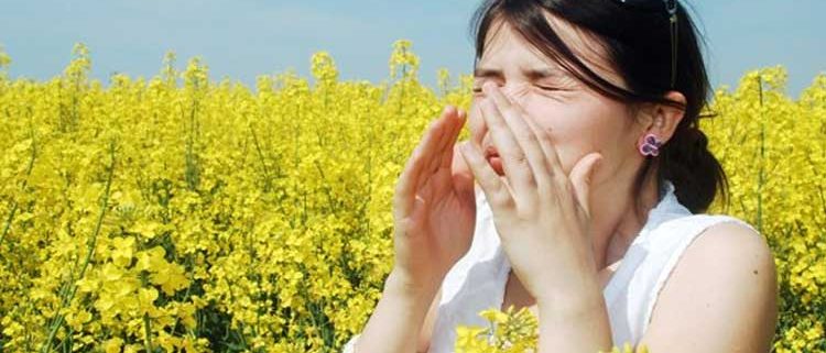 Consells per prevenir la rinitis al·lèrgica