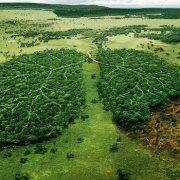 la mala salut del planeta