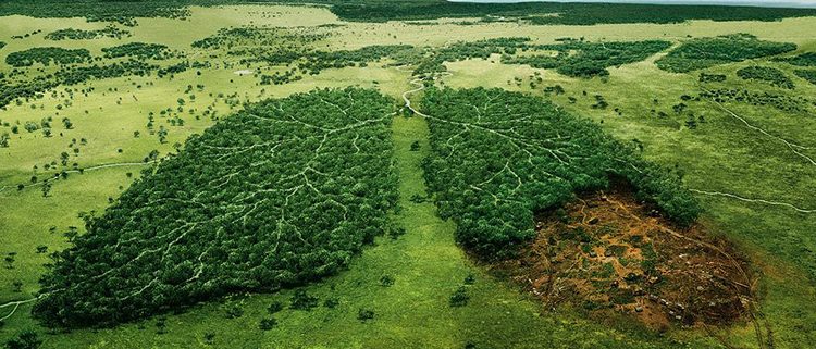 la mala salut del planeta