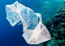 islas de plástico