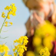 al·lèrgia primaveral