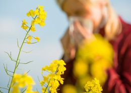 al·lèrgia primaveral