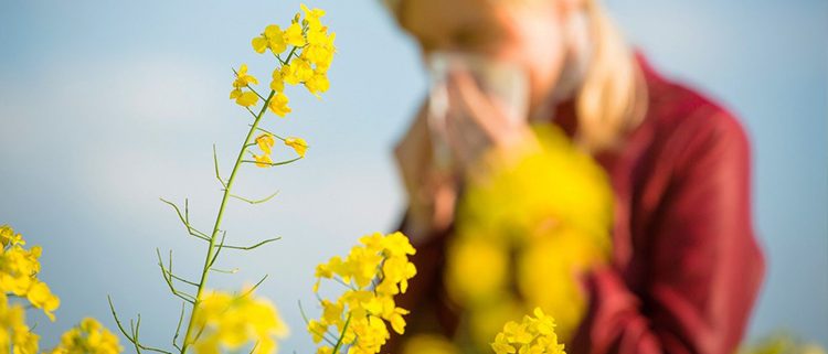 al·lèrgia primaveral