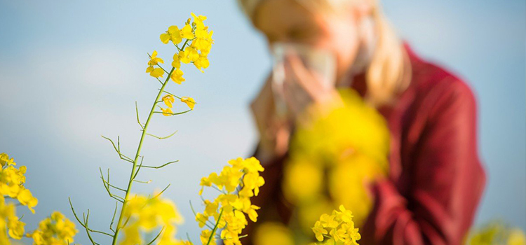 al·lèrgia primaveral