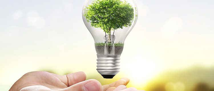 estalviar energia aquesta primavera