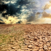 efectes a curt termini efectes a curt termini