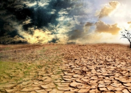 efectes a curt termini