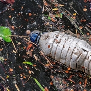 Reduir-plàstic-al-mar