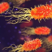 Malalties respiratòries