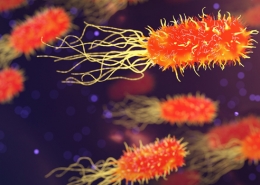 Malalties respiratòries