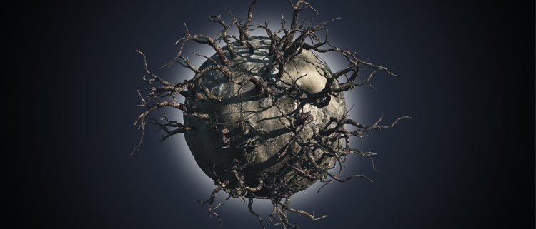 Extinció espècies