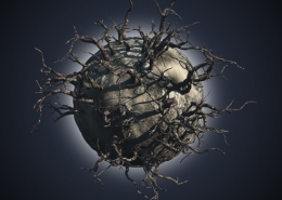 Extinción especies