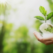 Innovació i ecologia