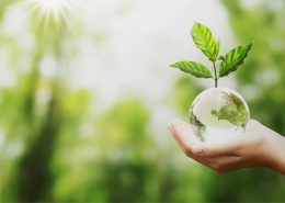 Innovació i ecologia