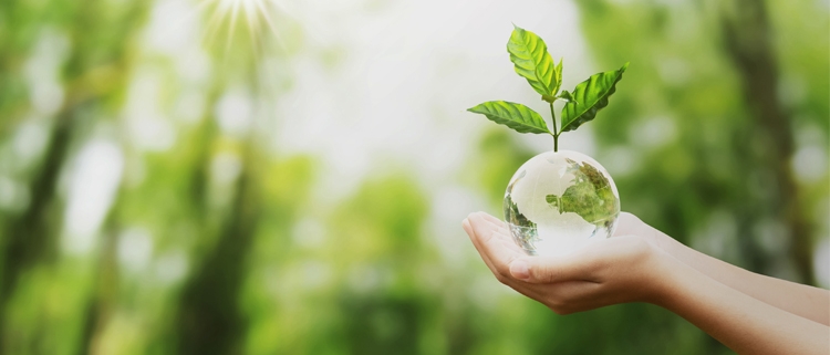 Innovació i ecologia