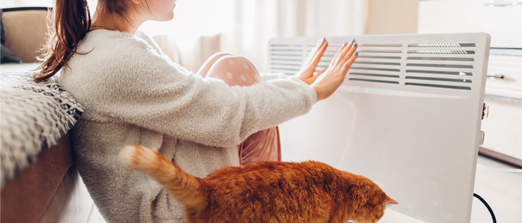 Manteniment radiadors