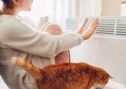 Mantenimiento radiadores