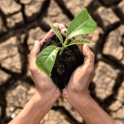 Producción de alimentos