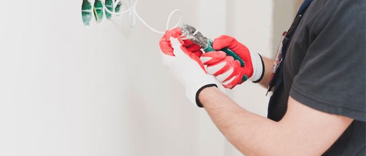 Reparacions-quarantena