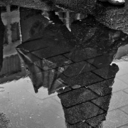 Recogida-agua-lluvia