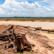 Deforestación-tropical