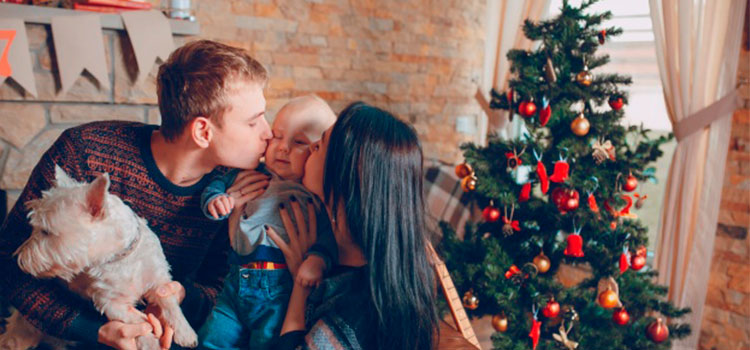 Comidas-Navidad-2020