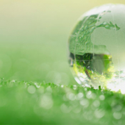 Projectes-ecologia-salvar-el-planeta