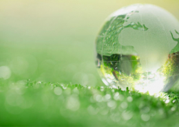 Projectes-ecologia-salvar-el-planeta