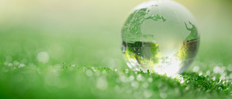 Projectes-ecologia-salvar-el-planeta