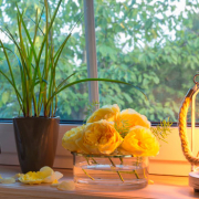 Contaminación-lumínica