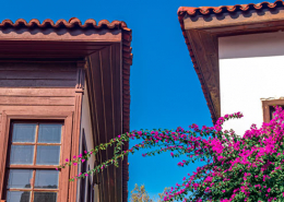 Vegetació-exterior