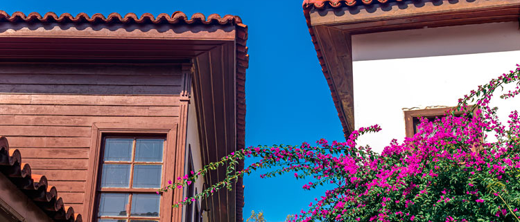 Vegetació-exterior