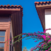 Vegetación-exterior