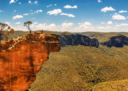 árboles-mueren-australia