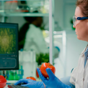 Tecnología-de-los-alimentos