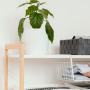 Mantener-ordenado-el-comedor