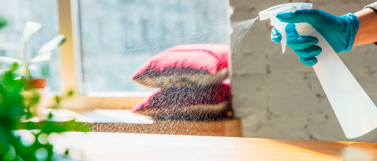 Evitar-humitat-i-floriment